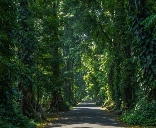 10 Destinasi Road Trip Keluarga yang Ramah Anak, Seru untuk Liburan