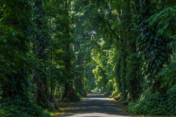 10 Destinasi Road Trip Keluarga yang Ramah Anak, Seru untuk Liburan